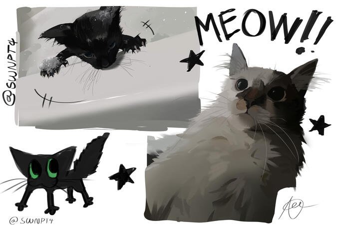 Hehe cats Hehe cats
